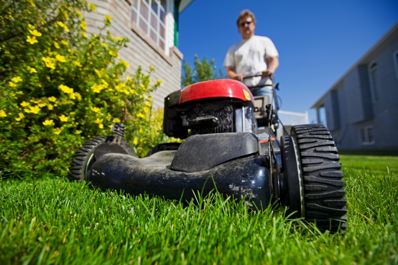 657581-mow-the-lawn